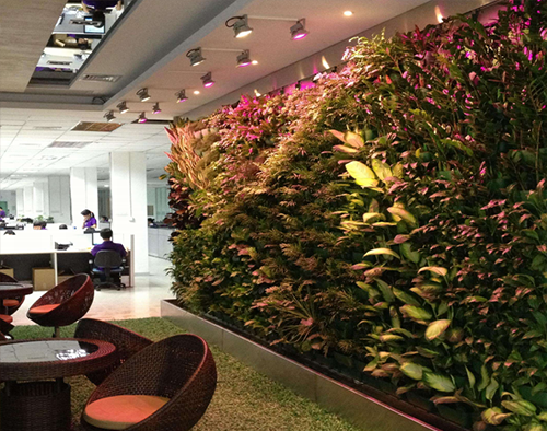 Indoor green plant light